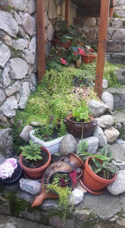 Guest House Todorini Kashti 코프리브시티차 외부 사진