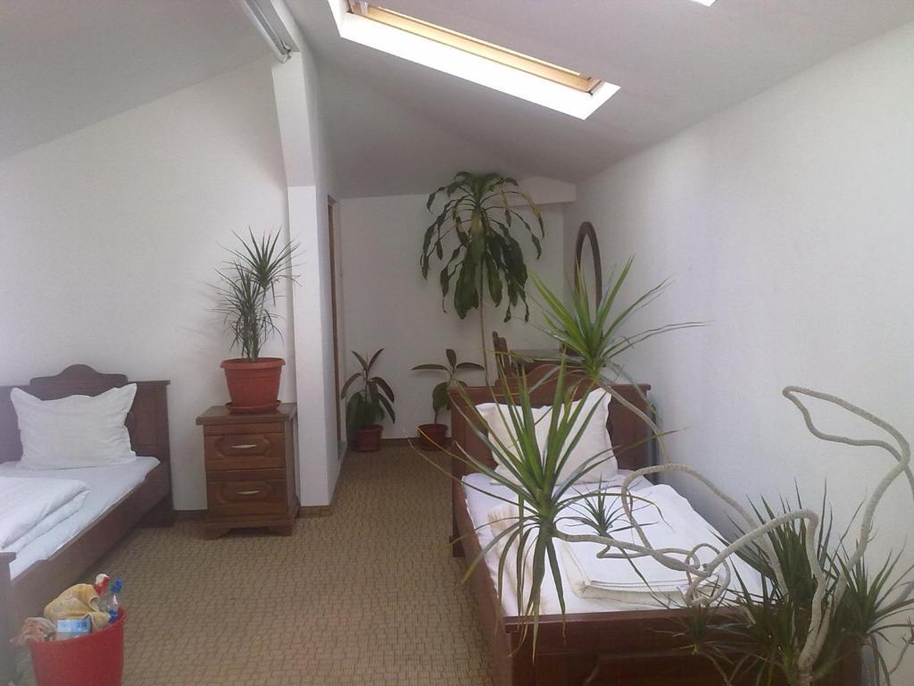 Guest House Todorini Kashti 코프리브시티차 객실 사진